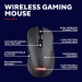 Trust Мишка Trust GXT 931 Wireless Black (25330)