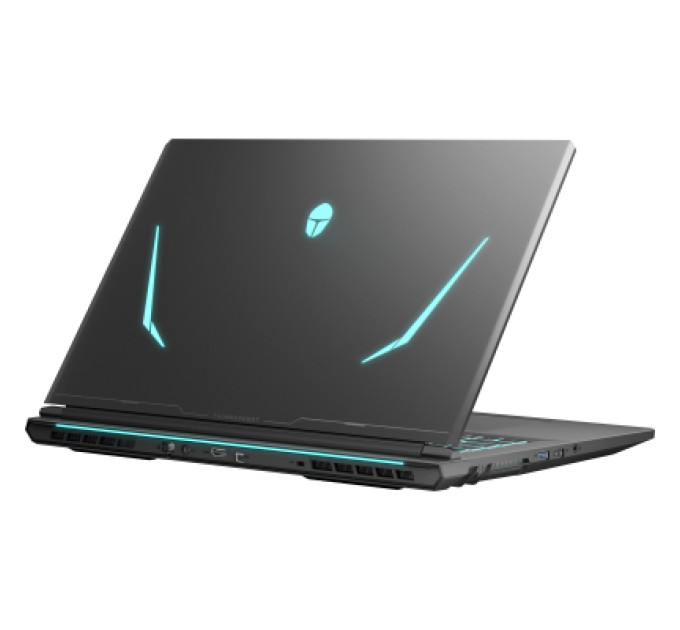 Thunderobot Ноутбук Thunderobot 911 X17 (911X17-i7136H56C1Q165MB)