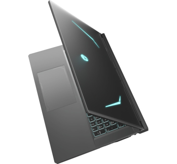 Thunderobot Ноутбук Thunderobot 911 X17 (911X17-i7136H56C1Q165MB)