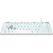 A4Tech Клавіатура A4Tech Bloody AT75 USB RGB UA White (4711421002776)