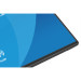 iiyama Монітор iiyama X2497HSU-B1
