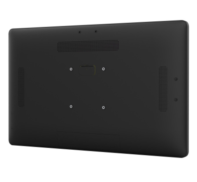 iiyama Монітор iiyama TW2424AS-B3P