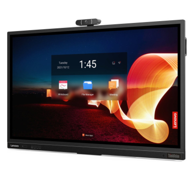 LENOVO LCD панель Lenovo ThinkVision T65 Raven Black (62F2WA1CEK)