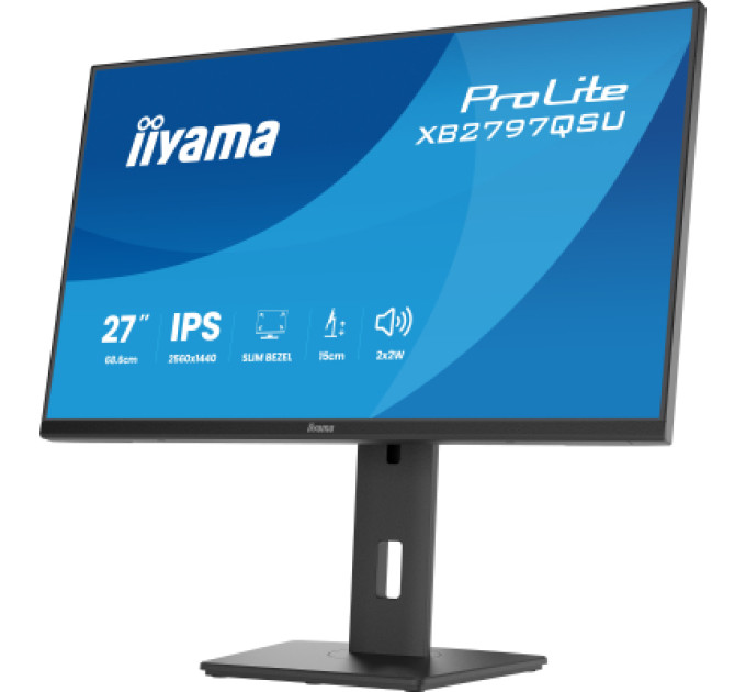 iiyama Монітор iiyama XB2797QSU-B1