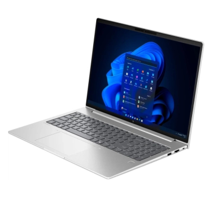HP Ноутбук HP EliteBook 6 G1a (BD5P5AW)