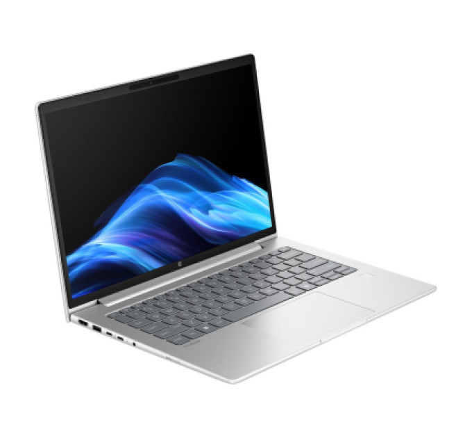 HP Ноутбук HP ProBook 4 G1a (D4VG1ET)