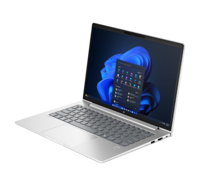 HP Ноутбук HP ProBook 4 G1a (D4VG1ET)
