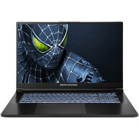 Ноутбук Dream Machines RG5050-17 (RG5050-17UA35)