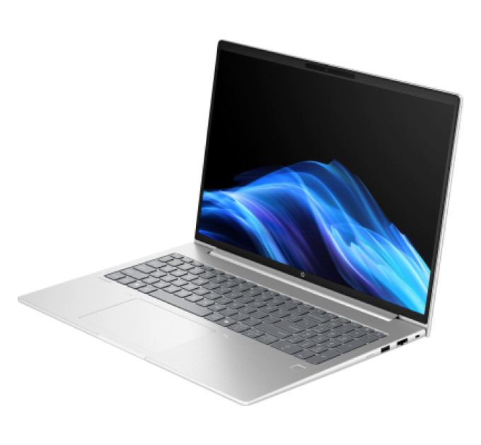HP Ноутбук HP ProBook 4 G1i (D0VG1ET)
