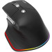 Acer Мишка Acer Easy Fit Wireless Black (HP.EXPBG.021)