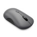 LENOVO Мишка Lenovo 700 Multi-Device Wireless Luna Grey (GY51S61898)