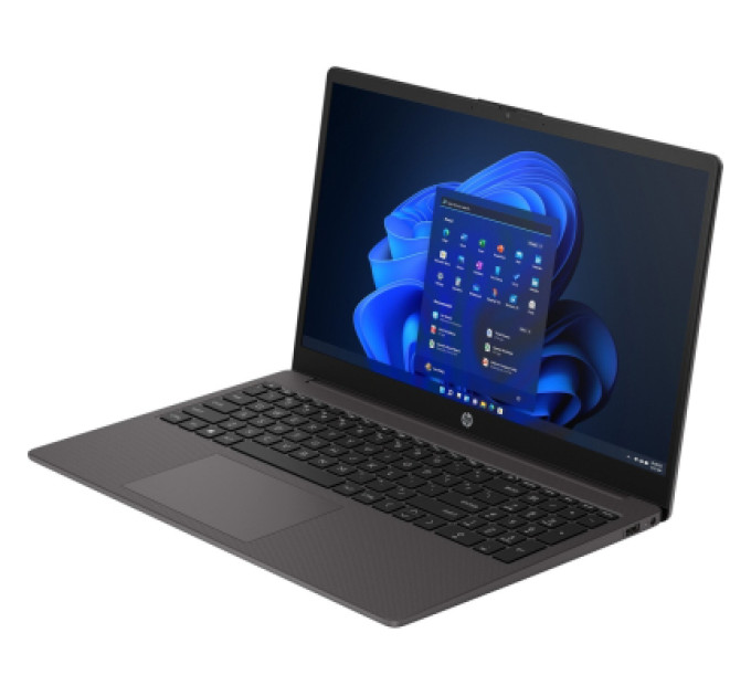HP Ноутбук HP 255R G10 (D4VF2ET)