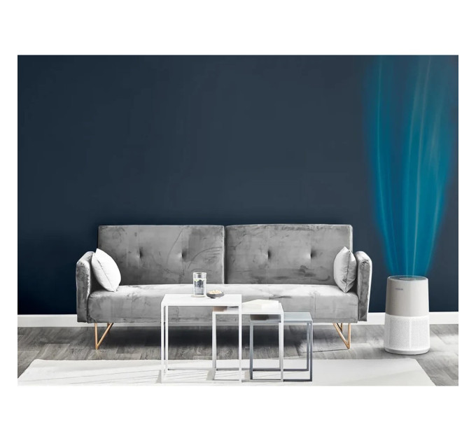 Rowenta Очищувач повітря Rowenta Pure Air City Connected PU2840F0