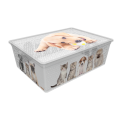 Qutu Контейнер Qutu Light Box Cats and Dogs, 25 л