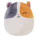 Squishmallows Іграшка м'яка Squishmallows (Jazwares) 2022-A асортименті 20см