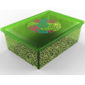 Qutu Контейнер Qutu Light Box Flouresent Green, 25л