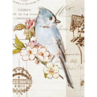 Фотоальбом UFO 20sheet S22x32 Bird