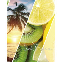 Фотоальбом UFO 10x15x200 PP-46200 Sea beach 