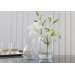 TRENDGLASS Ваза Trendglass Asta Ribs, 18 см