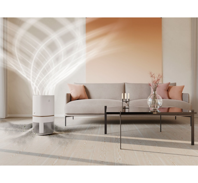Electrolux Очищувач повітря Electrolux EPO50571SW
