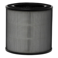 Фільтр Electrolux EFFCLN2EU