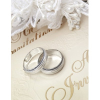 Фотоальбом UFO 10x15x200 PP-46200 Silver Rings 