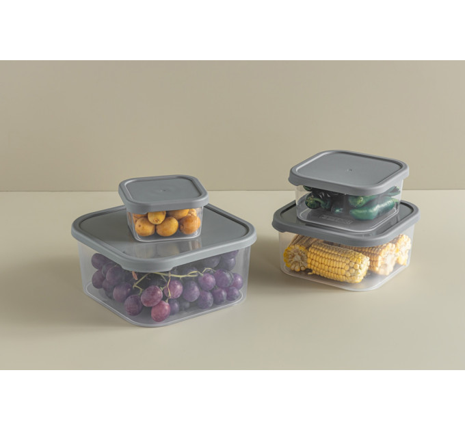 Idea Home Контейнер Idea Home 00811 Quick Box Gray 0.4 л (00811 Gray)