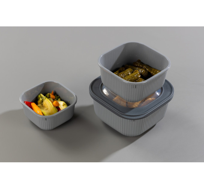 Idea Home Контейнер Idea Home 00681 Line Box Gray 0.6 л (00681 Gray)
