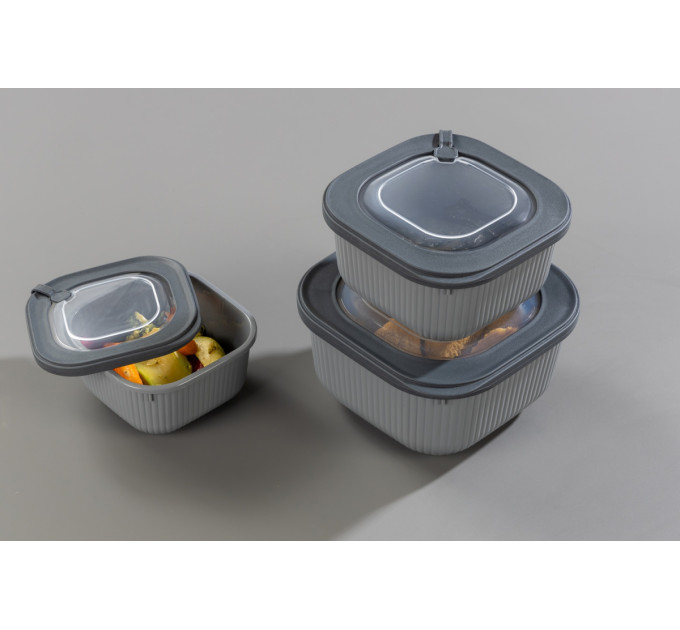 Idea Home Контейнер Idea Home 00683 Line Box Gray 1.8 л (00683 Gray)