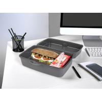 Контейнер Herevin Grey Big Lunch Box (161459-801)