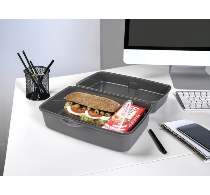 Herevin Контейнер Herevin Grey Big Lunch Box (161459-801)