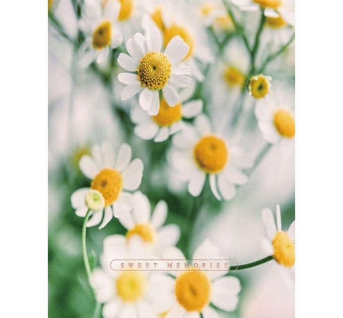 UFO Фотоальбом UFO 10x15x200 PP-46200 Сute Daisies