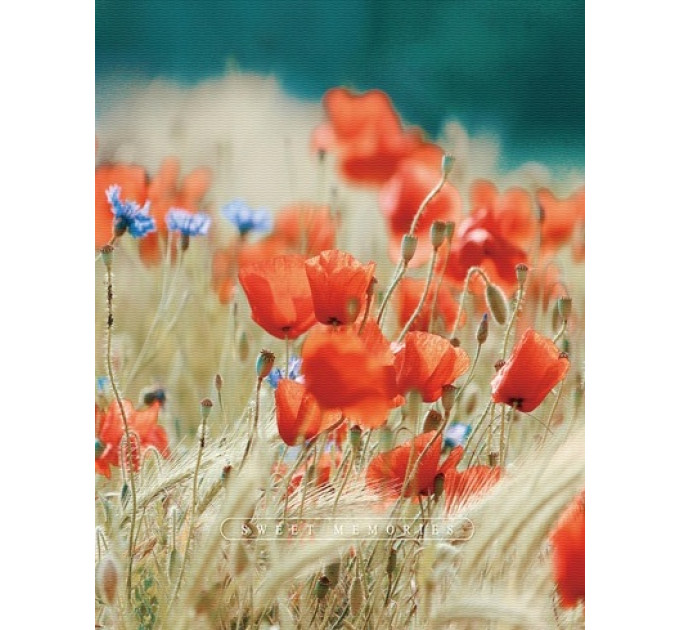 UFO Фотоальбом UFO 10x15x200 PP-46200 Poppies