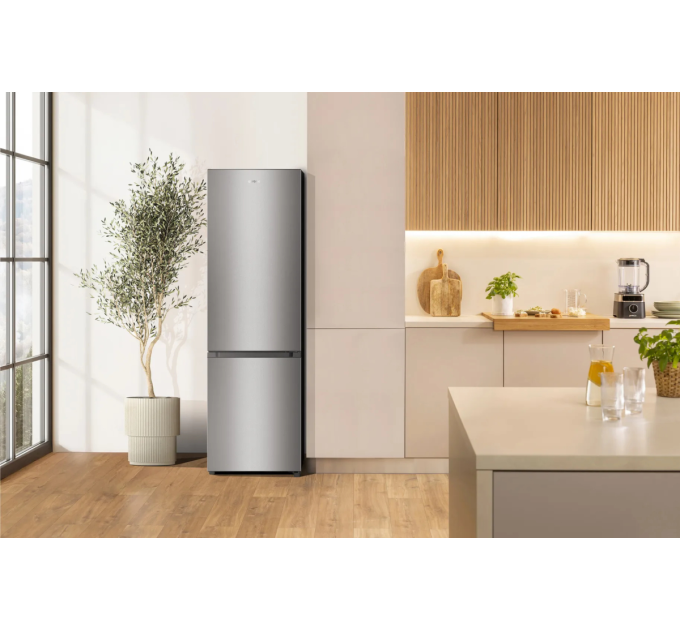 Gorenje Холодильник Gorenje RK58DPS4I