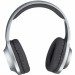 Panasonic Навушники Panasonic RB-HX220BEE-S Gray (RB-HX220BEE-S)