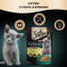 Sheba Вологий корм для кішок Sheba з куркою в соусі для кошенят 85 г (4770608264567)