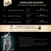 Sheba Вологий корм для кішок Sheba з куркою в соусі для кошенят 85 г (4770608264567)