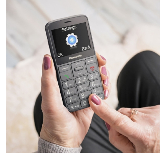 Panasonic Мобільний телефон Panasonic KX-TU160 Grey (KX-TU160EXG)