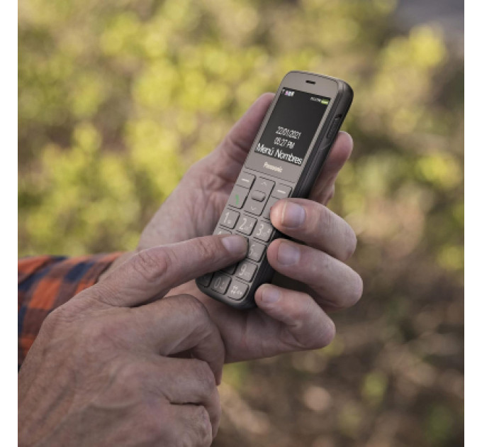 Panasonic Мобільний телефон Panasonic KX-TU160 Grey (KX-TU160EXG)