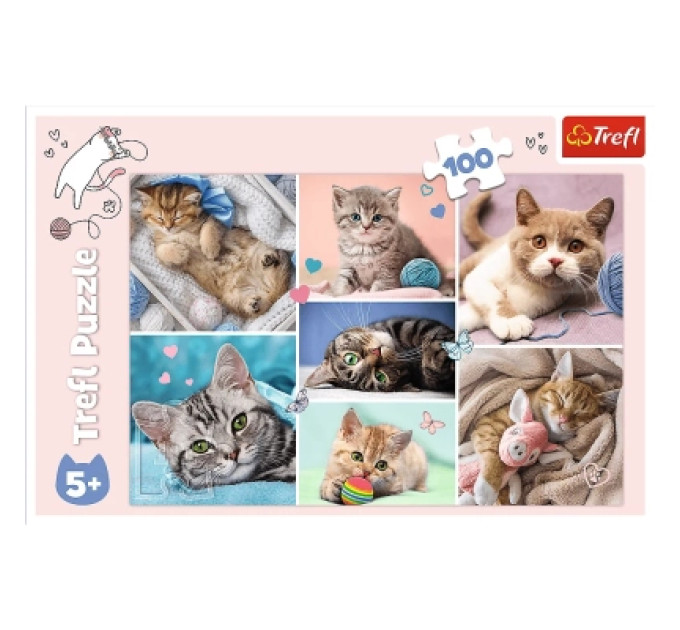 Trefl Пазл Trefl У котячому світі 100 елементів (5900511164206)