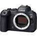 Canon Цифровий фотоапарат Canon EOS R6 Mark II body (5666C031AA)