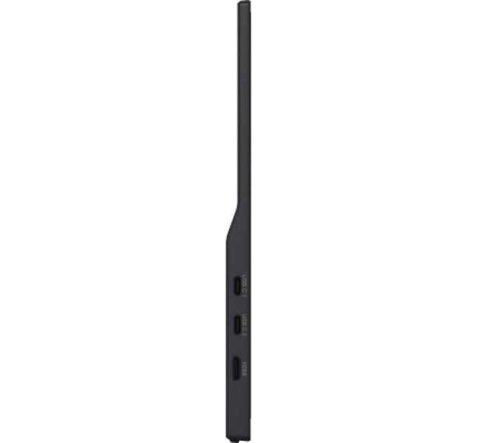 iiyama Монітор iiyama P1671HSC-B1