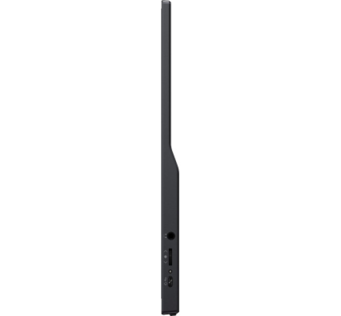 iiyama Монітор iiyama P1671HSC-B1