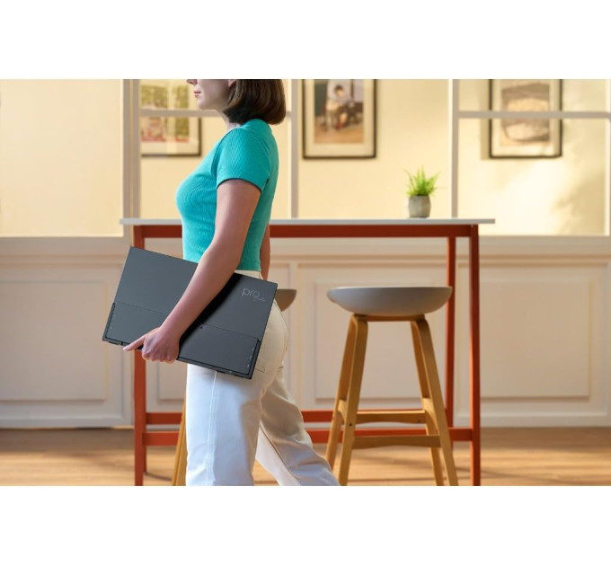 Acer Монiтор 16" Acer PE160Wsmiuux (UM.ZP0EE.001) Silver