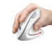 Trust Миша Trust Verto Ergonomic, WL, білий