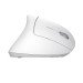Trust Миша Trust Verto Ergonomic, WL, білий