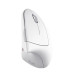 Trust Миша Trust Verto Ergonomic, WL, білий