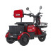 Maxxter Електроскутер Maxxter ANT (Red)