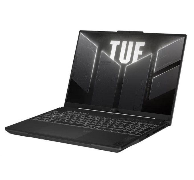 Ноутбук ASUS TUF Gaming F16 FX607VJB-RL280 16" WUXGA IPS, Intel 5 210H, 16GB, F512GB, NVD3050-6, NoOS, Сірий