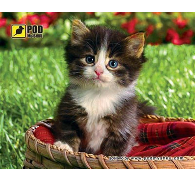 Килимок для миші  Podmyshku Котенок в корзине
